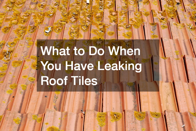 What to Do When You Have Leaking Roof Tiles