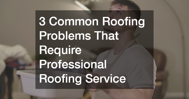 3 Common Roofing Problems That Require Professional Roofing Service