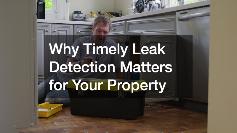 Why Timely Leak Detection Matters for Your Property