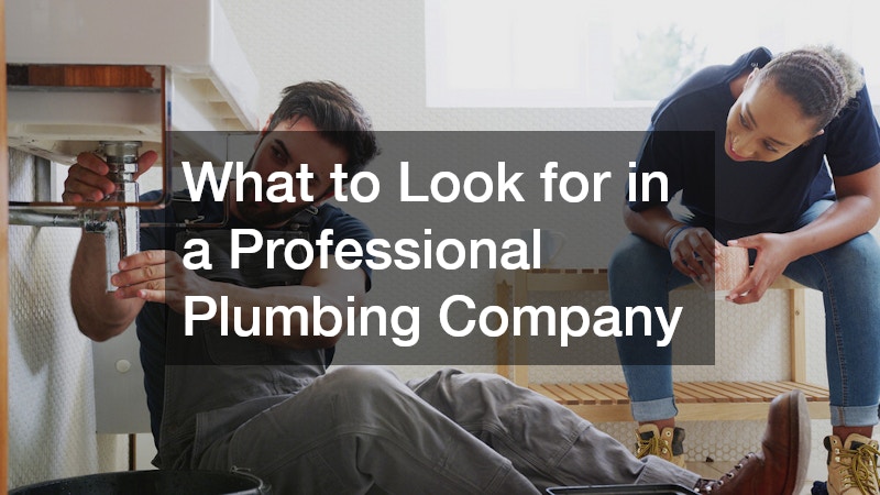 What to Look for in a Professional Plumbing Company